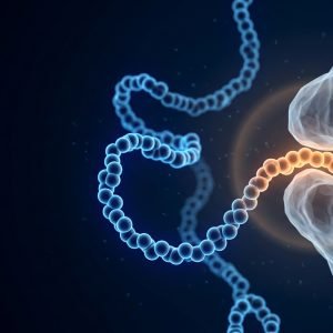 Pocket Guide (Parte I): como qualificar Impurezas Relacionadas a Peptídeos na Era das Semaglutidas?